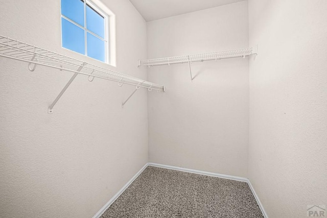 5312 Blue Spruce Dr, Pueblo, CO 81005 - photo 29