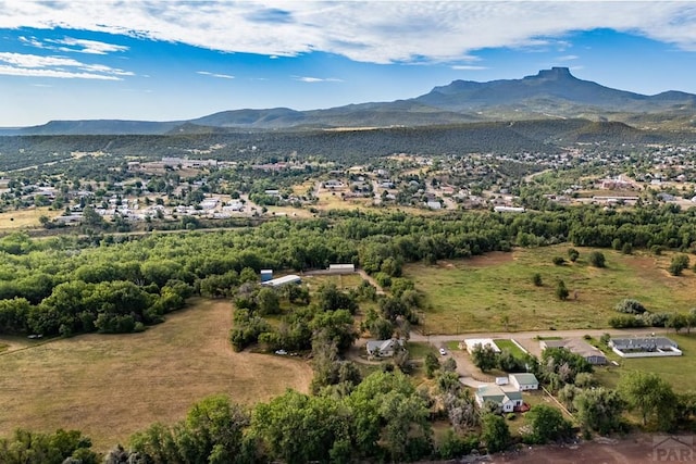 1218 Bernal, Trinidad, CO 81082 - photo 46