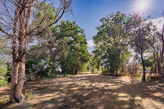 1218 Bernal, Trinidad, CO 81082 - photo 31