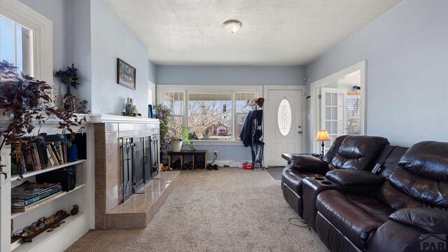 living area with carpet floors and a fireplace