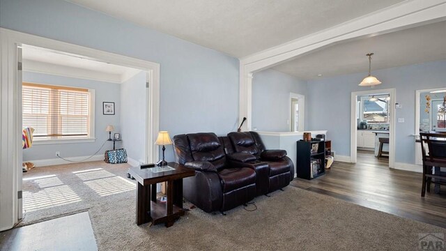 living area with baseboards, dark colored carpet, and dark wood finished floors