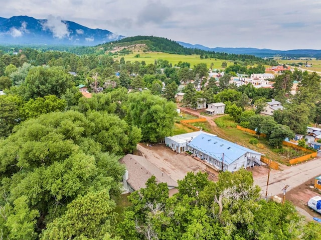2070 Petersen Rd, Rye, CO 81069 - photo 27