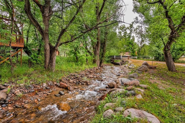 2070 Petersen Rd, Rye, CO 81069 - photo 3