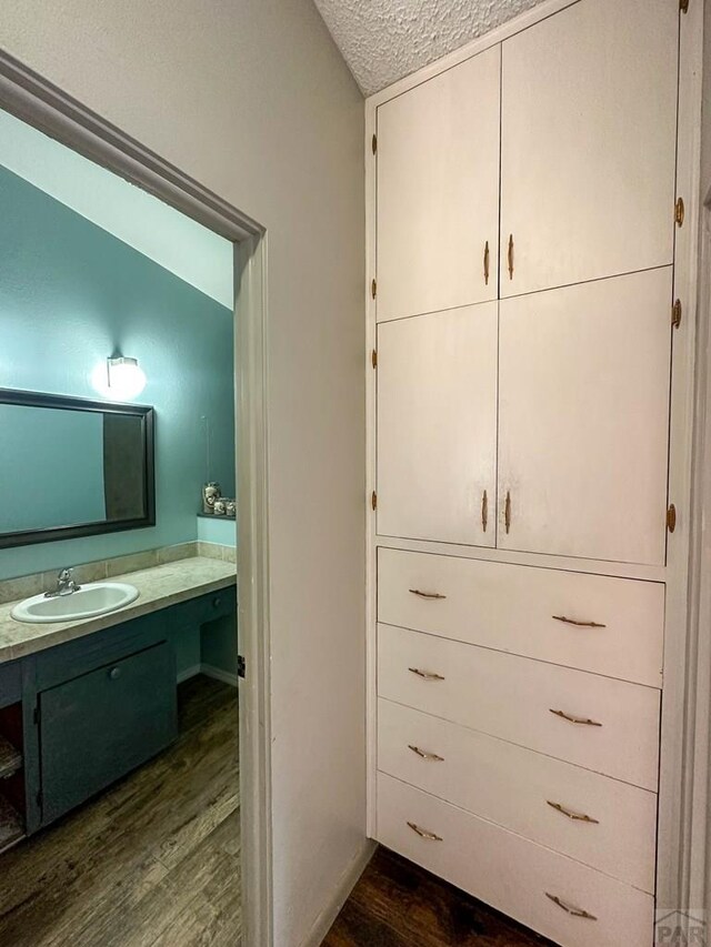 closet featuring a sink