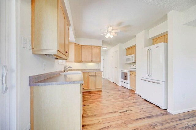 23401 Shylo Dr, Pueblo, CO 81006 - photo 15