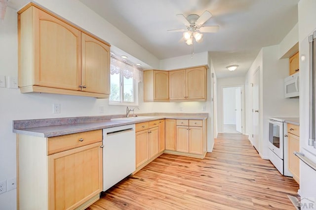 23401 Shylo Dr, Pueblo, CO 81006 - photo 16