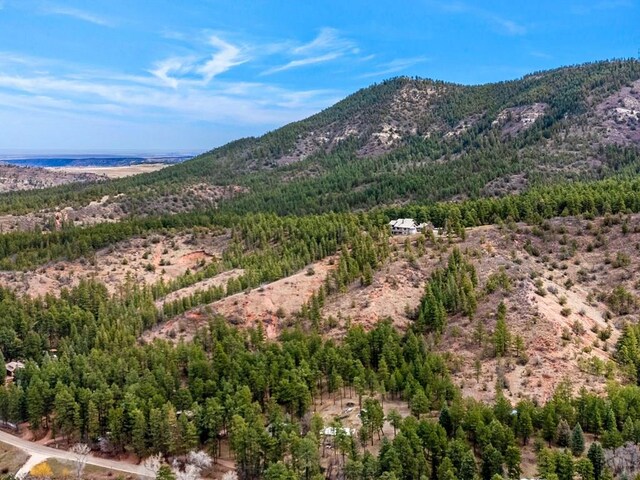 mountain view featuring a view of trees