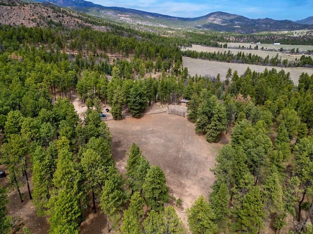 bird's eye view featuring a mountain view