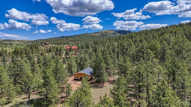 1341 County Rd 327, Westcliffe, CO 81252 - view of mountain backdrop featuring a forest