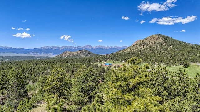 1341 County Rd 327, Westcliffe, CO 81252 - mountain view featuring a forest