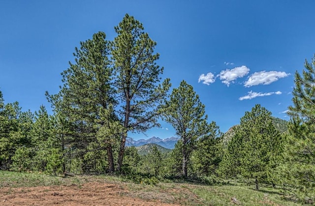 1341 County Rd 327, Westcliffe, CO 81252 - view of undeveloped land with a mountain backdrop