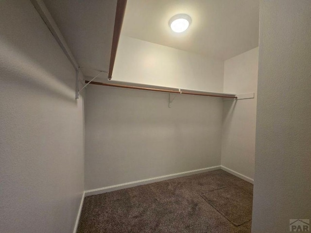 walk in closet featuring carpet