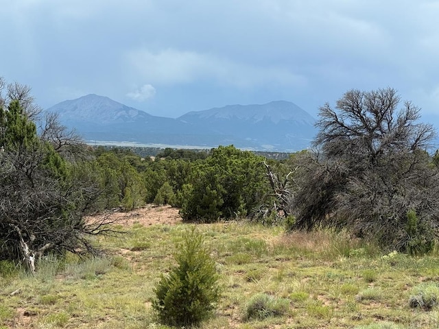 LOT116 Comanche Dr, Weldona, CO 81089