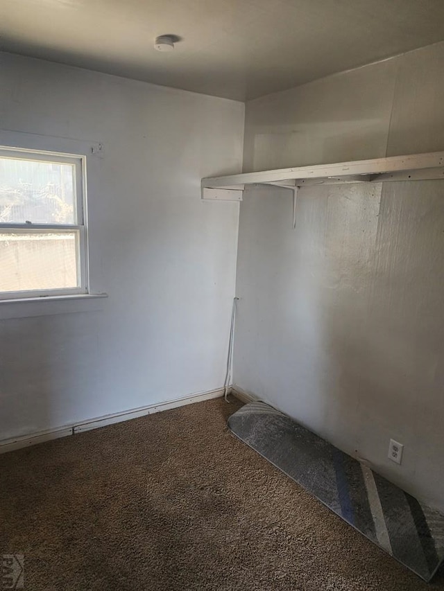 spacious closet featuring carpet flooring