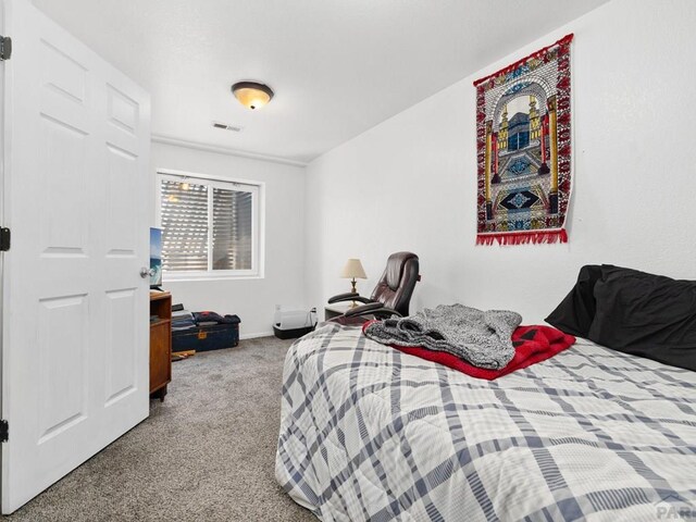 3724 Bobcat Ln, Pueblo, CO 81005 - photo 23