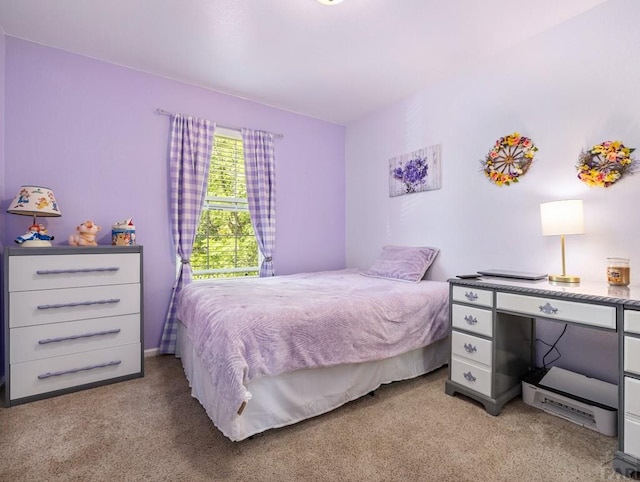 3724 Bobcat Ln, Pueblo, CO 81005 - photo 15