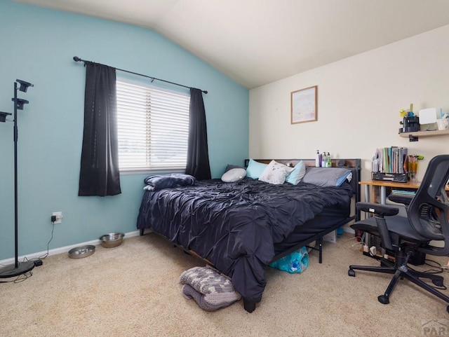 3724 Bobcat Ln, Pueblo, CO 81005 - photo 11