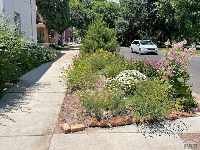 204 W 15th St, Pueblo, CO 81003 - photo 3