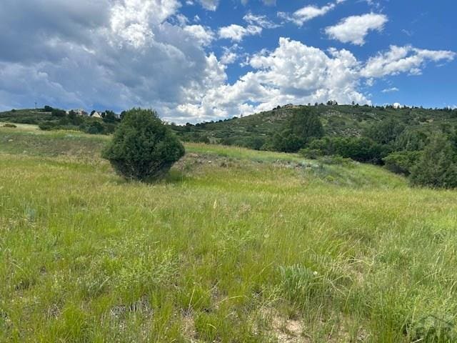 LOT104 Canon Ct, Colorado City, CO 81019 - photo 2