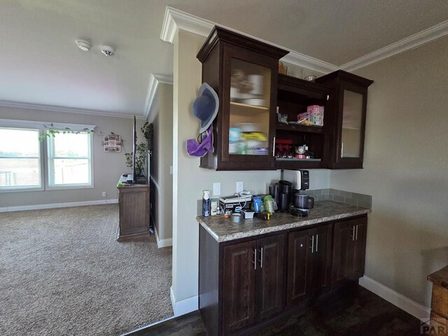 256 E First St, Hasty, CO 81044 - bar with baseboards, ornamental molding, and dark colored carpet