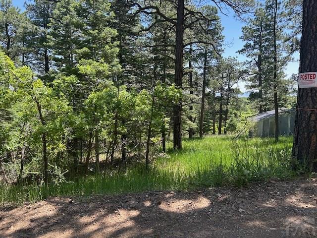 LOT15 Charles Ln, Rye, CO 81069 - photo 9