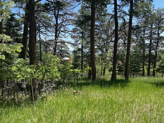 LOT15 Charles Ln, Rye, CO 81069 - photo 8