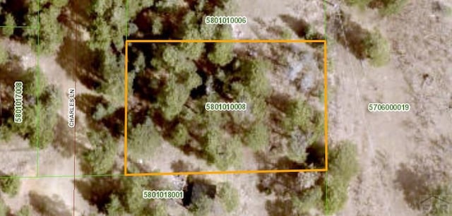 LOT15 Charles Ln, Rye, CO 81069 - photo 11
