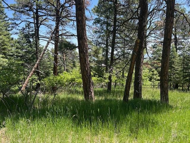 LOT15 Charles Ln, Rye, CO 81069 - photo 7