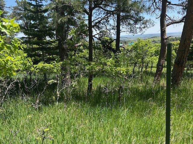 LOT15 Charles Ln, Rye, CO 81069 - photo 2