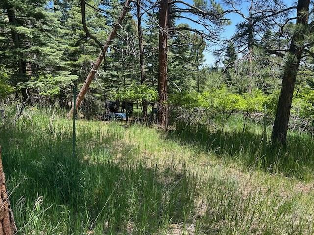 LOT15 Charles Ln, Rye, CO 81069 - photo 6