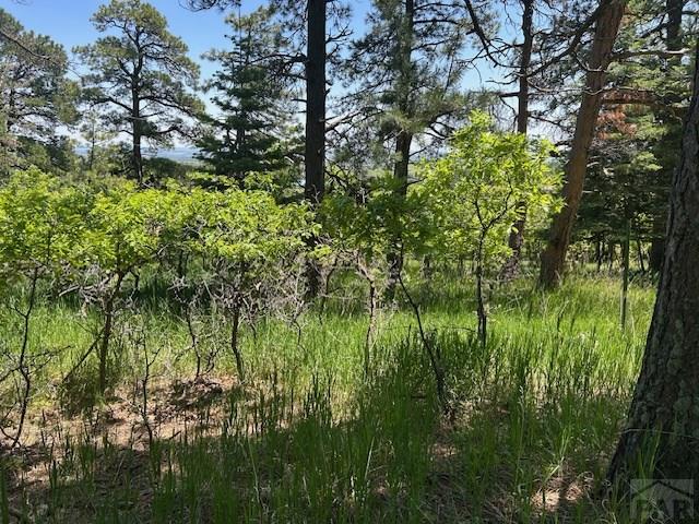 LOT15 Charles Ln, Rye, CO 81069 - photo 3