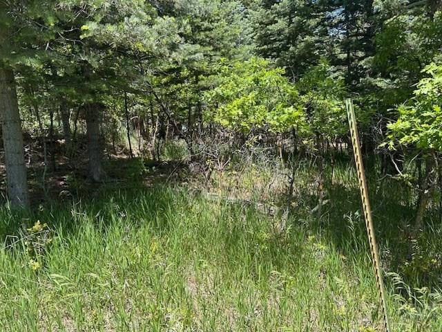 LOT15 Charles Ln, Rye, CO 81069 - photo 4