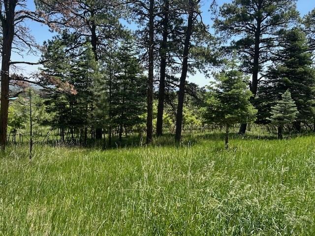 LOT15 Charles Ln, Rye, CO 81069 - photo 5