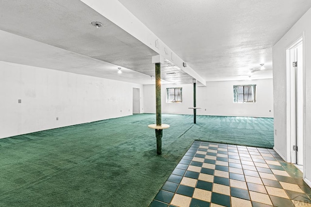 600 Hewitt St, Pueblo, CO 81005 - below grade area with a textured ceiling and carpet flooring