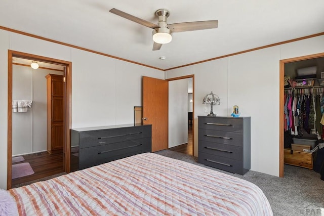 bedroom with a closet, dark carpet, a walk in closet, and crown molding