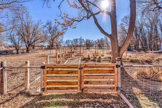 view of yard with a gate, a rural view, and fence