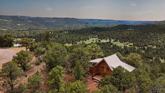 6787 Calf Canyon Rd, Trinidad, CO 81082 - photo 7