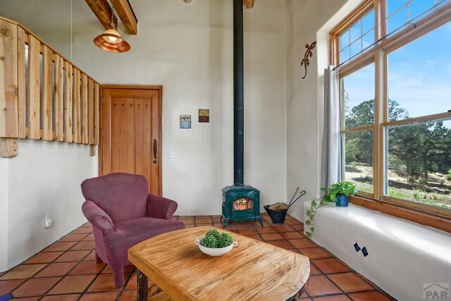 6787 Calf Canyon Rd, Trinidad, CO 81082 - photo 13