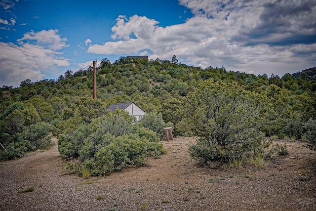 6787 Calf Canyon Rd, Trinidad, CO 81082 - photo 49