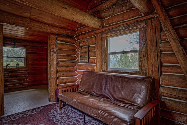 6787 Calf Canyon Rd, Trinidad, CO 81082 - photo 41