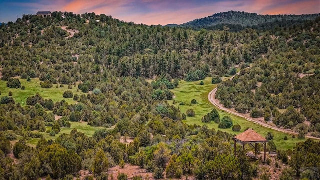 6787 Calf Canyon Rd, Trinidad, CO 81082 - photo 54