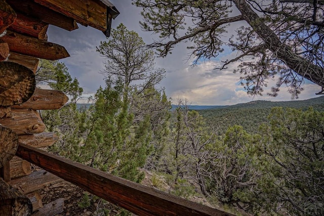 6787 Calf Canyon Rd, Trinidad, CO 81082 - photo 45