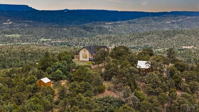 6787 Calf Canyon Rd, Trinidad, CO 81082 - photo 6