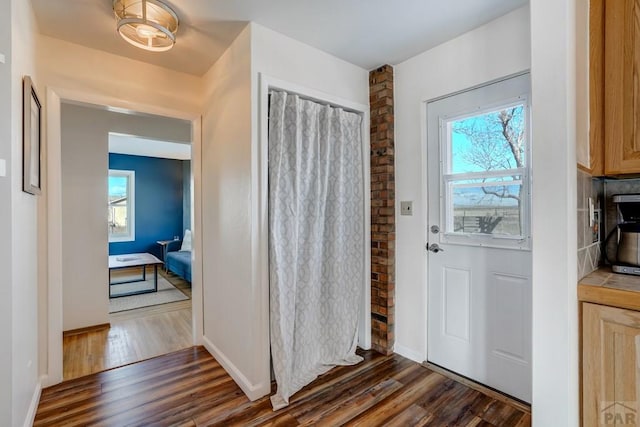 doorway with plenty of natural light, baseboards, and dark wood finished floors