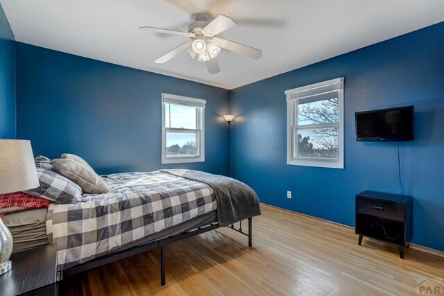 bedroom featuring multiple windows, ceiling fan, and wood finished floors