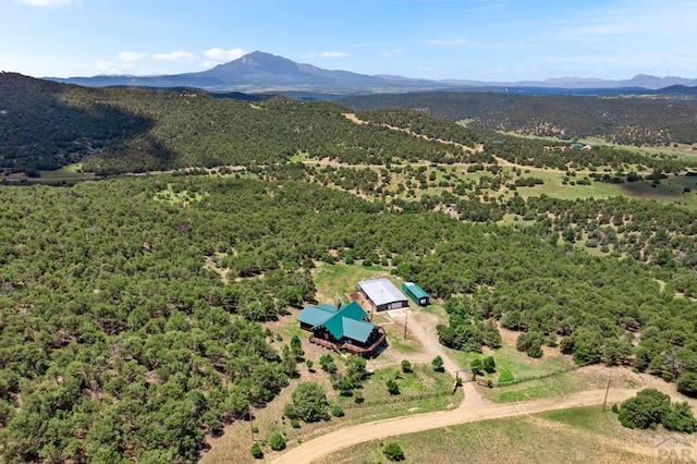 1035 Spanish Peaks Dr, Walsenburg, CO 81089 - photo 72