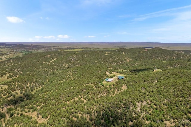 1035 Spanish Peaks Dr, Walsenburg, CO 81089 - photo 90