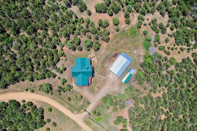 1035 Spanish Peaks Dr, Walsenburg, CO 81089 - photo 82