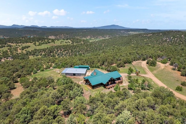 1035 Spanish Peaks Dr, Walsenburg, CO 81089 - photo 69