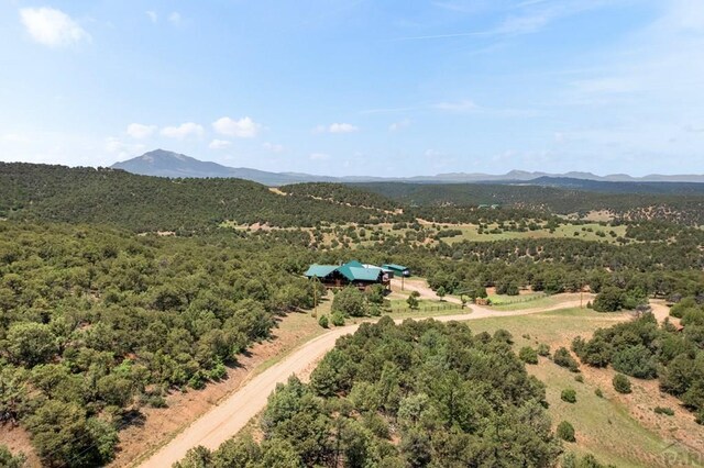 1035 Spanish Peaks Dr, Walsenburg, CO 81089 - photo 60